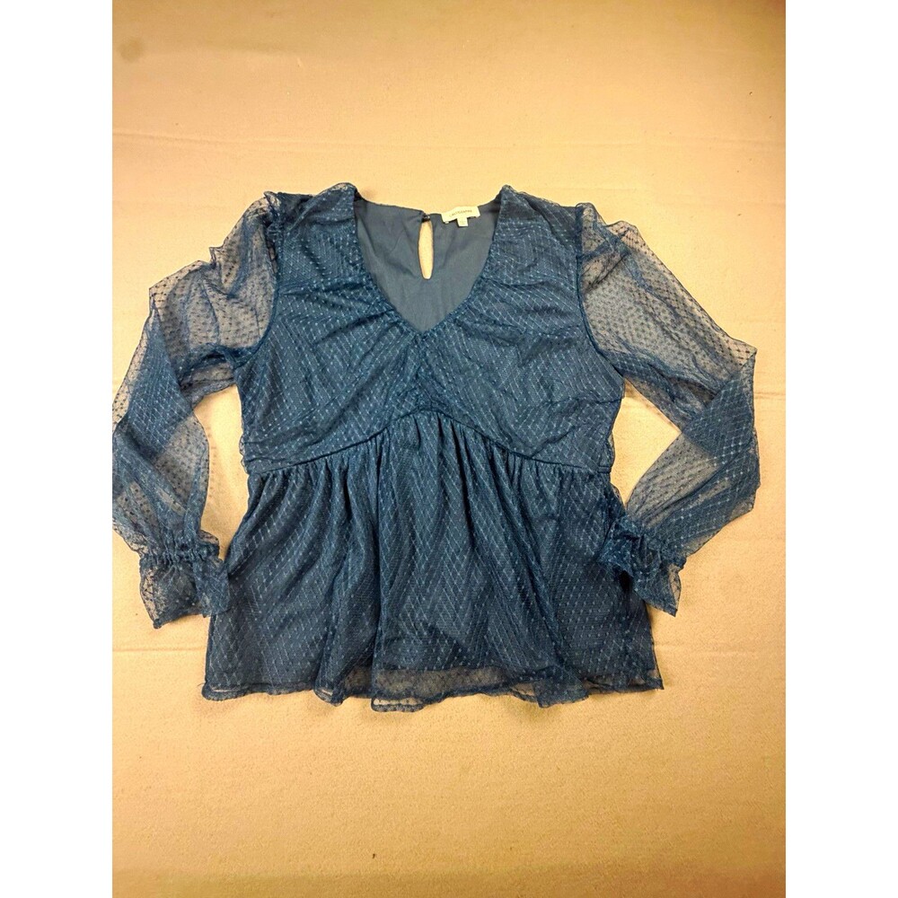 Calligraphie Blue Solid Sheer Mesh V-Neck Long Sleeve Ruffle Blouse Women's L